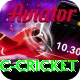 uc cricket Deluxe Edition v1.5.5