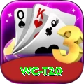 wc t20 Master v1.3.6