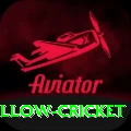 willow cricket Elite Pro v1.6.6