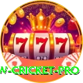 willow cricket Cash Max